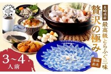 漁協直送！とらふぐ三昧贅沢の極み３～４人前( ふぐ フグ 河豚 とらふぐ トラフグ 茶漬け 唐揚げ )【F8-003】