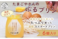 たまごやさんのぷるプリン 6個入(濃厚仕立て)( 新鮮 赤たまご ぷりん プリン 濃厚 カスタード )【A9-047】