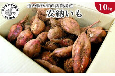 道の駅松浦直営農場産　赤土栽培「安納いも」10kg( 安納いも 安納芋 芋 いも さつまいも サツマイモ 甘い 蒸す サラダ 炊き込みご飯 )【C0-008】