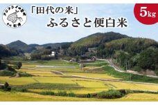 「田代の米」ふるさと便白米(令和6年産米)5kg( 米 白米 ご飯 コシヒカリ ヒノヒカリ 単一原料米 送料無料 )【B3-070】