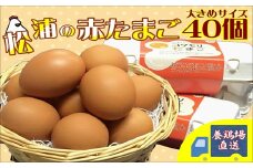 養鶏場直送!松浦の赤たまご(40個)( たまご タマゴ 卵 赤たまご M Ｌ ML M～L Mサイズ Lサイズ 卵かけごはん )【B1-152】