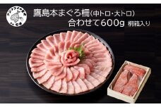 鷹島産本まぐろ柵(中トロ・大トロ) 合わせて600g【桐箱入り】( マグロ まぐろ 中トロ 大トロ 本まぐろ 手軽 おつまみ 柵 流水解凍 贈答 )【E0-025】