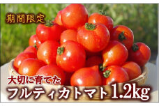 期間限定　大切に育てたフルティカトマト1.2kg( トマト とまと ジューシー リコピン 期間限定 松浦市 松浦産 フルティカトマト )【A9-013】