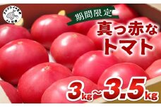 期間限定　真っ赤なトマト3kg～3.5kg( トマト とまと ジューシー リコピン 期間限定 松浦市 松浦産 産地直送 )【A9-015】