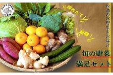 道の駅松浦海のふるさと館『旬のお野菜』の大満足セット！( 産地直送 野菜 お野菜 旬 旬の野菜 新鮮 季節 セット とれたて 詰め合わせ )【A8-040】