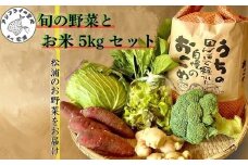 道の駅松浦海のふるさと館『旬のお野菜＋お米5kg』の大満足セット！( 産地直送 新鮮 白米 米 野菜 旬 詰め合わせ農家 季節 サラダ 新鮮 セット 送料無料 松浦 お米 九州 おまかせ 特産品 大容量 道の駅 )【B3-090】