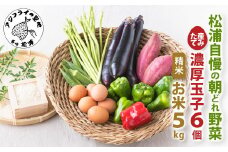 道の駅松浦海のふるさと館『旬のお野菜＋産みたて濃厚玉子6個＋お米5kg』の大満足セット！( 産地直送 新鮮 米 卵 たまご タマゴ 野菜 詰め合わせ農家 新鮮 セット 送料無料 松浦 お米 特産品 道の駅 )【B3-089】