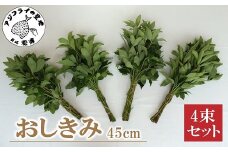 おしきみ45cm 4束セット( しきみ ハナシバ ハナノキ お悔やみ 仏壇 墓花 墓参り 仏前草 盆 お彼岸 45センチ 4束セット )【A7-062】