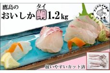 鷹島のおいしかタイ1.2kg( アラ付き 三枚卸し 真空パック 鯛 真鯛 マダイ タイ たい 魚 お刺身 刺身 カルパッチョ 煮つけ 塩焼き アラ付き ぷりぷり プリプリ 簡単 簡単調理 鮮魚 魚介 海鮮 産地直送 人気 大人気 おすすめ 美味しい おいしい 海の幸 海産物 魚介類 お祝い 祝い )【B5-098】