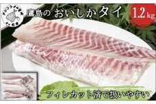 鷹島のおいしかタイ1.2kg( アラ付き 三枚卸し 真空パック 鯛 真鯛 マダイ タイ たい 魚 お刺身 刺身 カルパッチョ 煮つけ 塩焼き アラ付き ぷりぷり プリプリ 簡単 簡単調理 鮮魚 魚介 海鮮 産地直送 人気 大人気 おすすめ 美味しい おいしい 海の幸 海産物 魚介類 お祝い 祝い )【B5-098】