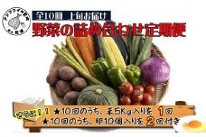米5kgと卵20個付き！野菜の詰め合わせ定期便10回(上旬)【定期便】( 米 ご飯 ごはん お米 白米 卵 たまご タマゴ 野菜 やさい ヤサイ 詰め合わせ 定期便 季節の野菜 旬 おまかせ 九州 新鮮 とれたて 赤土土壌 たっぷり おすすめ 満足 安心 5キロ 5kg 野菜詰め合わせ 詰め合わせセット セット )【K00-009】