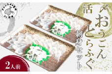 活〆おうごんとらふぐ刺身2人前セット( おうごんとらふぐ とらふぐ 高品質 高評価 刺身 )【B5-109】