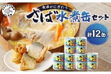 さば水煮缶セット(12缶)( サバ さば 鯖 サバ缶 さば缶 鯖缶 水煮 水煮缶 国産 缶詰 海鮮 肴 おかず 栄養 健康 非常食 保存食 防災 備蓄 長期保存 常温 備蓄 キャンプ)【B2-108】