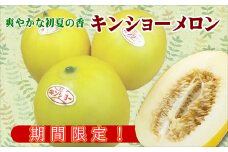 爽やかな初夏の香 キンショーメロン5kg( メロン フルーツ 甘み 良質 )【B3-073】