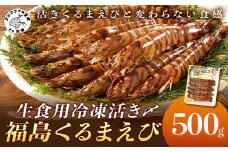 生食用冷凍活き〆福島くるまえび500g×1パック( 車エビ クルマエビ くるまえび えび エビ 海老 生食用 )【B3-087】