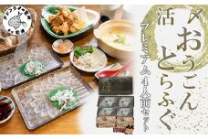 活〆おうごんとらふぐプレミアム4人前セット( とらふぐ とらふぐ刺身 切り身 唐揚げ 高品質 )【F6-003】