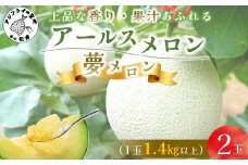 1.4㎏以上！大玉アールスメロン　夢メロン2玉入り( メロン 大玉 夢メロン アールスメロン )【B0-202】