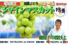 御厨ぶどうシャインマスカット(特秀)4房～5房 約2kg( ふるさと納税 マスカット 種なし 糖度18度以上 松浦市 )【C7-024】