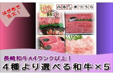 お届けオーダーメイド！4種から選べるA4ランク以上長崎和牛×5( 和牛 ステーキ 長崎産 黒毛和牛 贈答用 オーダーメイド A4ランク 肉 ロースステーキ サイコロステーキ しゃぶしゃぶ 焼き肉 )【K30-002】