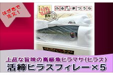 お届けオーダーメイド！活締ヒラスフィレー×5( ヒラス ヒラスフィレー 活き締め 新鮮 お中元 お歳暮 贈答用 )【K30-001】