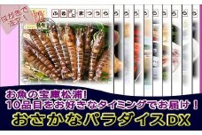 お届けオーダーメイド！松浦お魚パラダイスDX( たい茶漬 タイ とらふぐ 本まぐろ うなぎ アジフライ くるまえび クエ ヒラス )【L80-001】