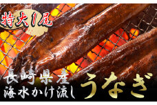 数量限定！海水かけ流しうなぎ蒲焼 特大サイズ1尾( ウナギ うなぎ 鰻 かば焼き 鰻の蒲焼 うなぎ蒲焼 長崎県産 青うなぎ 魚 魚介類 海産物 海の幸 )【B5-103】