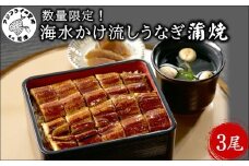 数量限定！海水かけ流しうなぎ蒲焼3尾【C5-037】( うなぎ蒲焼 うなぎ 国産 鰻 ウナギ 逸品 海水 かけ流し ミネラルが豊富 臭みがない土用の丑の日 国産 うな重 ひつまぶし タレ 長崎県産 かばやき 冷凍 大容量 青うなぎ おいしい 美味しい 贅沢 スタミナ 夏バテ グルメ 生産者直送 希少 人気 大人気 おすすめ 蒲焼 かば焼き )【C5-037】