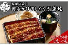 訳あり大容量！海水かけ流しうなぎ5尾～7尾【F0-016】( うなぎ蒲焼 うなぎ 国産 鰻 ウナギ 逸品 海水 かけ流し ミネラルが豊富 臭みがない 訳あり 土用の丑の日 うな重 ひつまぶし タレ 長崎県産 かばやき 冷凍 大容量 青うなぎ 贅沢 スタミナ 夏バテ 人気 大人気 おすすめ 美味しい おいしい グルメ 蒲焼 かば焼き 生産者直送 )【F0-016】