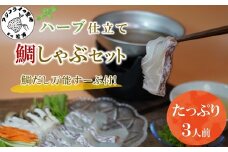 鯛だし万能すーぷ付！ハーブ仕立ての鯛しゃぶセット工場直送たっぷり3人前( 真鯛 ハーブ 鯛だし 凝縮 鯛しゃぶ カルパッチョ パスタ ハーブ飼料 )【B1-157】