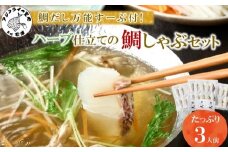 鯛だし万能すーぷ付！ハーブ仕立ての鯛しゃぶセット工場直送たっぷり3人前( 真鯛 ハーブ 鯛だし 凝縮 鯛しゃぶ カルパッチョ パスタ ハーブ飼料 )【B1-157】
