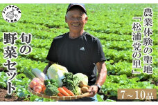 農漁村体験の聖地「松浦党の里」旬の野菜セット( 野菜 旬 旬の野菜 野菜詰め合わせ 地元野菜 地元食材 松浦産 キャベツ 白菜 ブロッコリー ピーマン 白ネギ 人参 大根 ほうれん草 みかん ジャガイモ サツマイモ 九州 松浦市 )【B3-080】