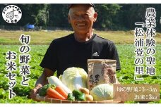 農漁村体験の聖地「松浦党の里」旬の野菜とお米(3kg)セット( 野菜 旬 お米 米 野菜詰め合わせ 旬の野菜 地元野菜 セット 松浦市 松浦産キャベツ 白菜 ブロッコリー ピーマン 白ネギ 人参 大根 ほうれん草 みかん じゃがいも さつまいも )【B5-095】