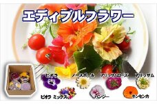 食べられる綺麗なお花 エディブルフラワー( 花 お花 フラワー エディブルフラワー 食用花 食用 )【B1-158】