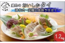 ～津本式・究極の血抜き仕立て～おいしかタイ1.2kg( 松浦 養殖 真鯛 長期熟成 津本式 究極の血抜き 保栄水産 )【B8-045】