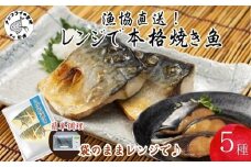 漁協直送！レンジで本格焼き魚5種セット( さば サバ ぶり ブリ 焼き魚 塩焼き みりん焼き 西京焼き 簡単調理 電子レンジ )【B3-077】