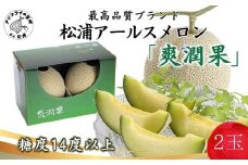 松浦アールスメロン「爽潤果(そうじゅんか)」2玉( メロン アールスメロン ブランド 人気 甘い 美味しい おいしい ギフト 期間限定 糖度14度以上 濃厚 芳醇 松浦 松浦市 長崎 長崎県 )【B4-109】