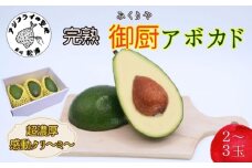 完熟国産アボカド「御厨(みくりや)アボカド」2玉～3玉( アボカド 国産 御厨アボカド 果物 )【B5-104】