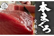 鷹島産本まぐろ定期便（1本分）( 本マグロ 大トロ 中トロ 赤身 柵 定期便 海鮮 本マグロ )【T00-001】
