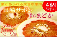 『期間限定』柑橘の王様！「長崎ザボン」果汁あふれる大きな果肉の紅まどか(4個入り) ( 紅まどか ザボン ざぼん 大橘 文旦 ぶんたん ブンタン ボンタン 柑橘 果物 )【B4-111】