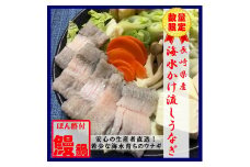 数量限定！海水かけ流しうなぎ鍋用切身2人前×2パック( 数量限定 うなぎ 海水かけ流しうなぎ うなぎ鍋 絶品 希少 )【B6-026】
