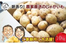 訳あり！農家直送のじゃがいも 10kg ( 訳あり じゃがいも いも 肉じゃが サラダ フライドポテト カレー シチュー 煮物 )【B0-221】