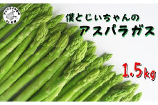 僕とじいちゃんのアスパラガス1.5kg( アスパラガス 朝採れ新鮮 新鮮 野菜 期間限定 )【B1-181】