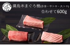 鷹島産本まぐろ柵(赤身・中トロ・大トロ) 合わせて600g( マグロ まぐろ 赤身 中トロ 大トロ 本まぐろ 手軽 おつまみ 柵 流水解凍 )【C7-027】