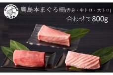 鷹島産本まぐろ柵(赤身・中トロ・大トロ) 合わせて800g( マグロ まぐろ 赤身 中トロ 大トロ 本まぐろ 手軽 おつまみ 柵 流水解凍 )【D3-013】