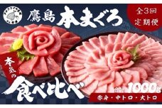 【全3回定期便】鷹島本まぐろ 赤身・中トロ・大トロ合わせて1000g【頒布会】( マグロ まぐろ 赤身 中トロ 大トロ 本まぐろ 手軽 おつまみ 柵 流水解凍 )【K26-001】
