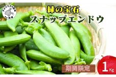 《期間限定》みずみずしさ弾ける！鷹島のスナップエンドウ1kg( えんどう エンドウ 豆 旬の野菜 野菜 新鮮 朝摘み 長崎県 松浦市 )【B0-226】