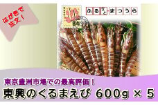 お届けオーダーメイド!東興のくるまえび600g×5回( くるまえび えび 海老 エビ 車海老 贈答 贈り物 はがき 簡単 お中元 お歳暮 )【K20-002】