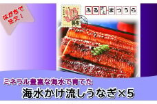 お届けオーダーメイド！海水かけ流しうなぎ蒲焼3尾×5回( お中元 お歳暮 贈り物 贈答用 オーダーメイド うなぎ 鰻 ウナギ 養殖 )【K35-001】
