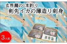 玄界灘の1本釣り 剣先イカの薄造り刺身3人前( いか イカ 烏賊 剣先イカ 海鮮 海の幸 薄造り 刺身 )【B1-170】