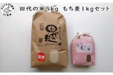 限定！！ 田代の米5kgと もち麦1kgセット( 米 もち麦 コシヒカリ ヒノヒカリ 紫もち麦 もち麦 セット )【B7-030】